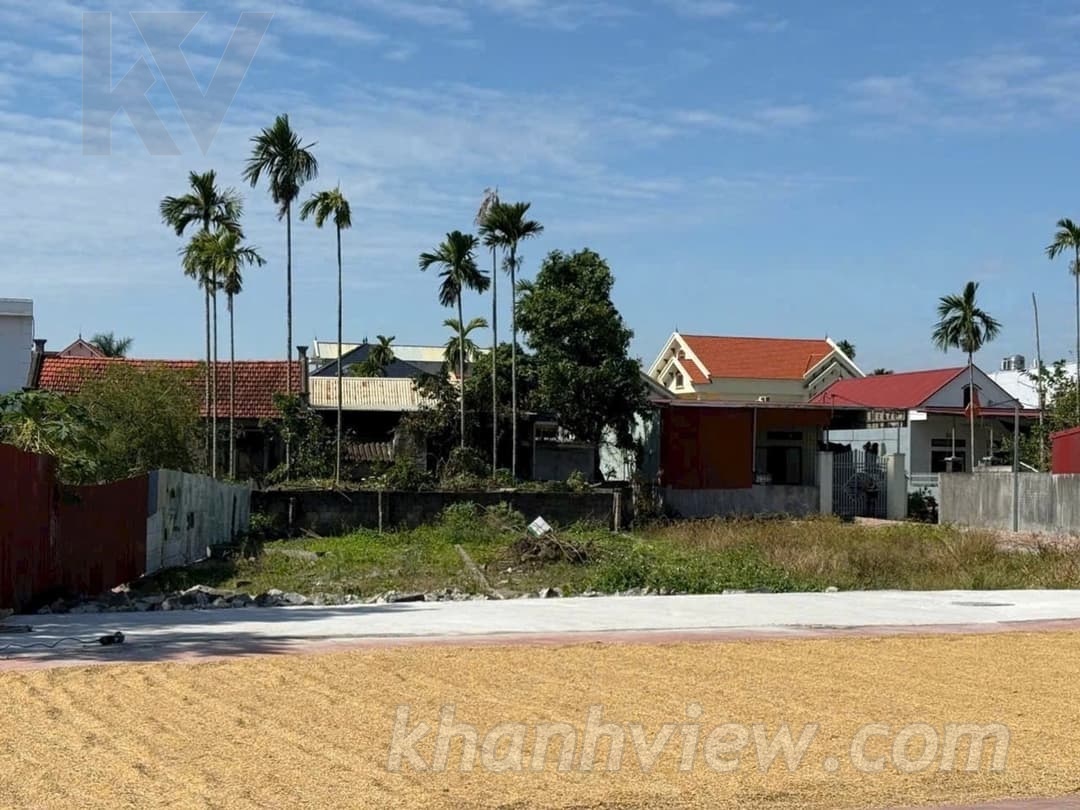 Đất Hoa Động Thủy Nguyên 3