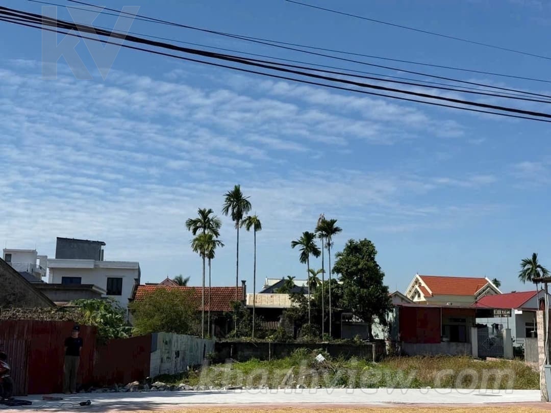 Đất Hoa Động Thủy Nguyên 4
