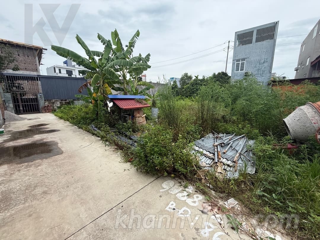 Ảnh thực tế 2