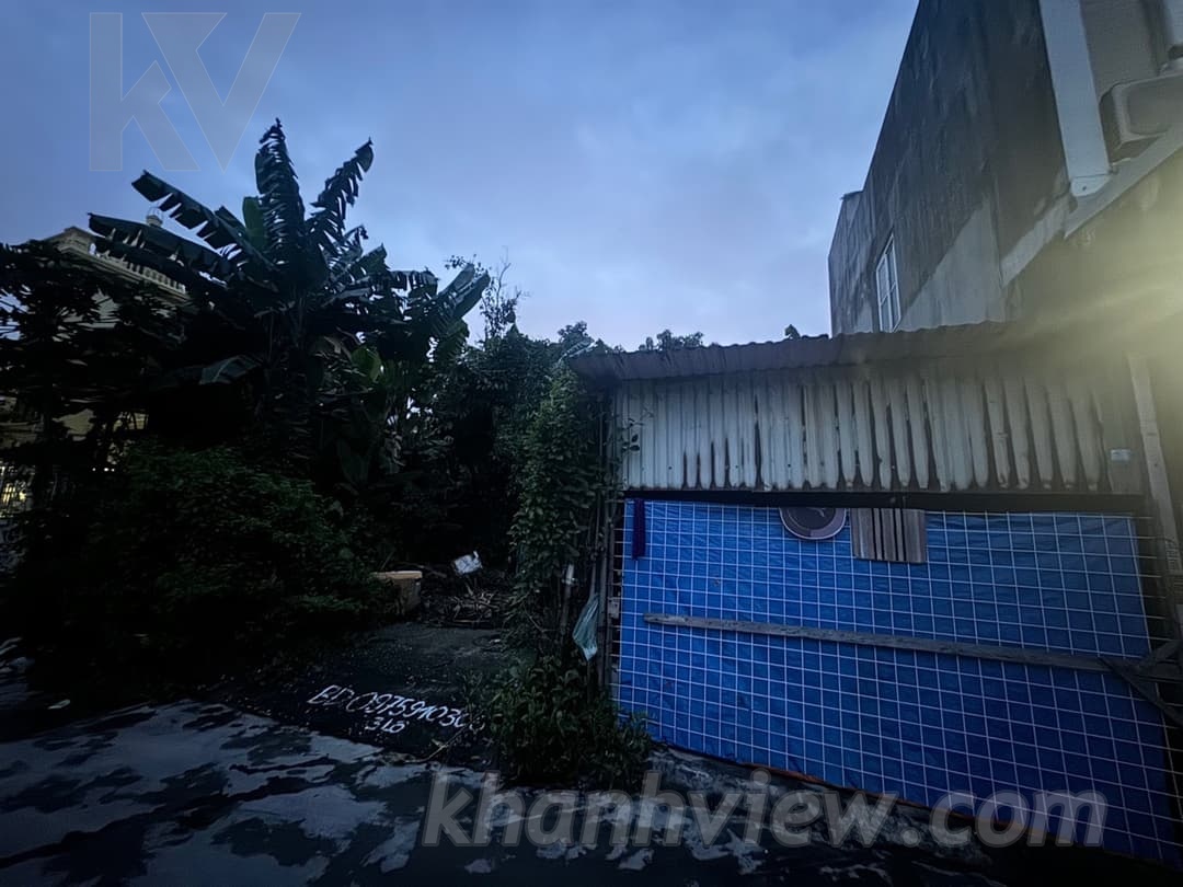 Ảnh thực tế 4