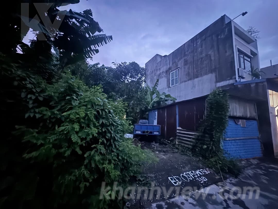 Ảnh thực tế 5