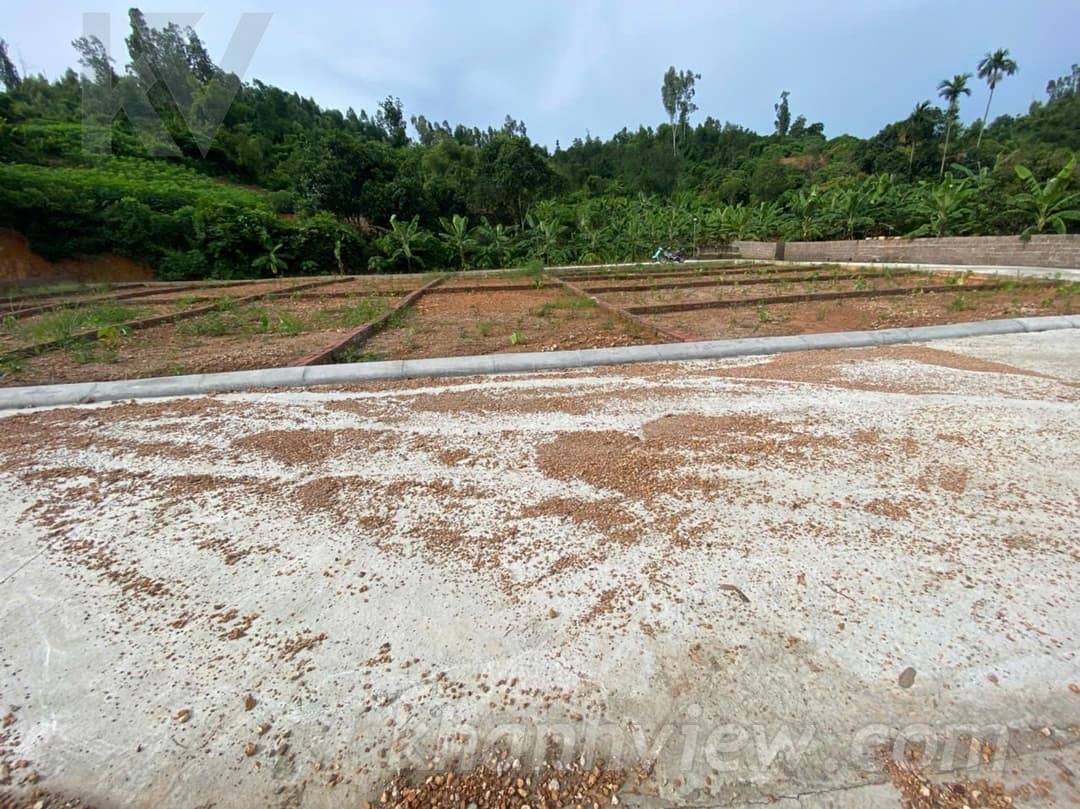 Thực tế đất Thủy Nguyên 3
