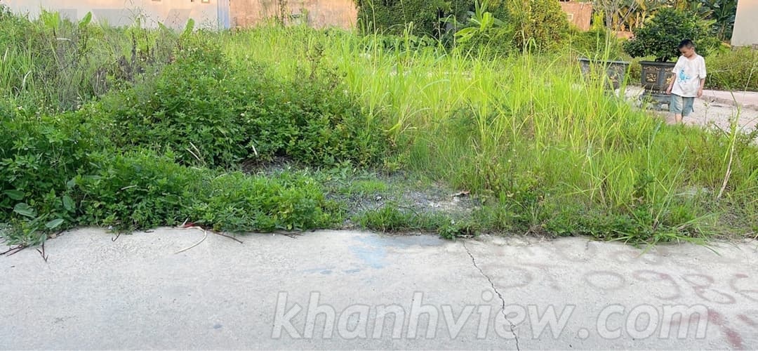 Ảnh thực tế lô đất Hoàng Lâm 3