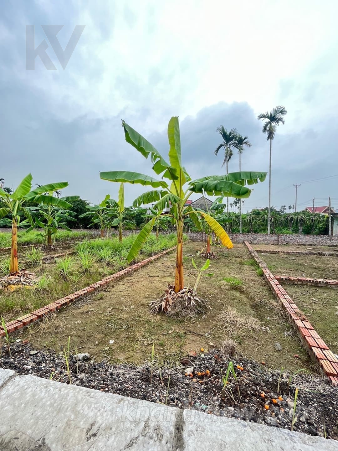Đất Thôn Quán Trang An Lão