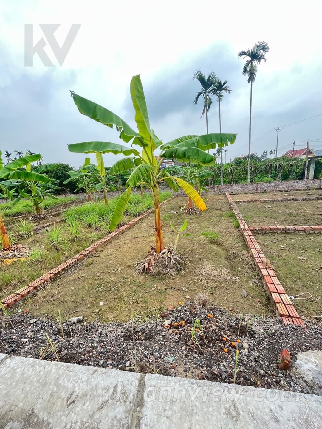 Thực tế đất Quán Trang An Lão