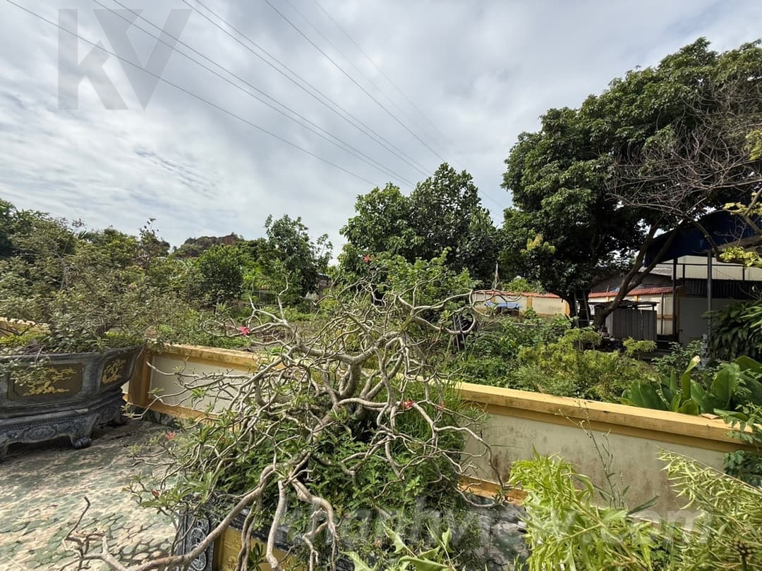 Biệt thự sân vườn 14
