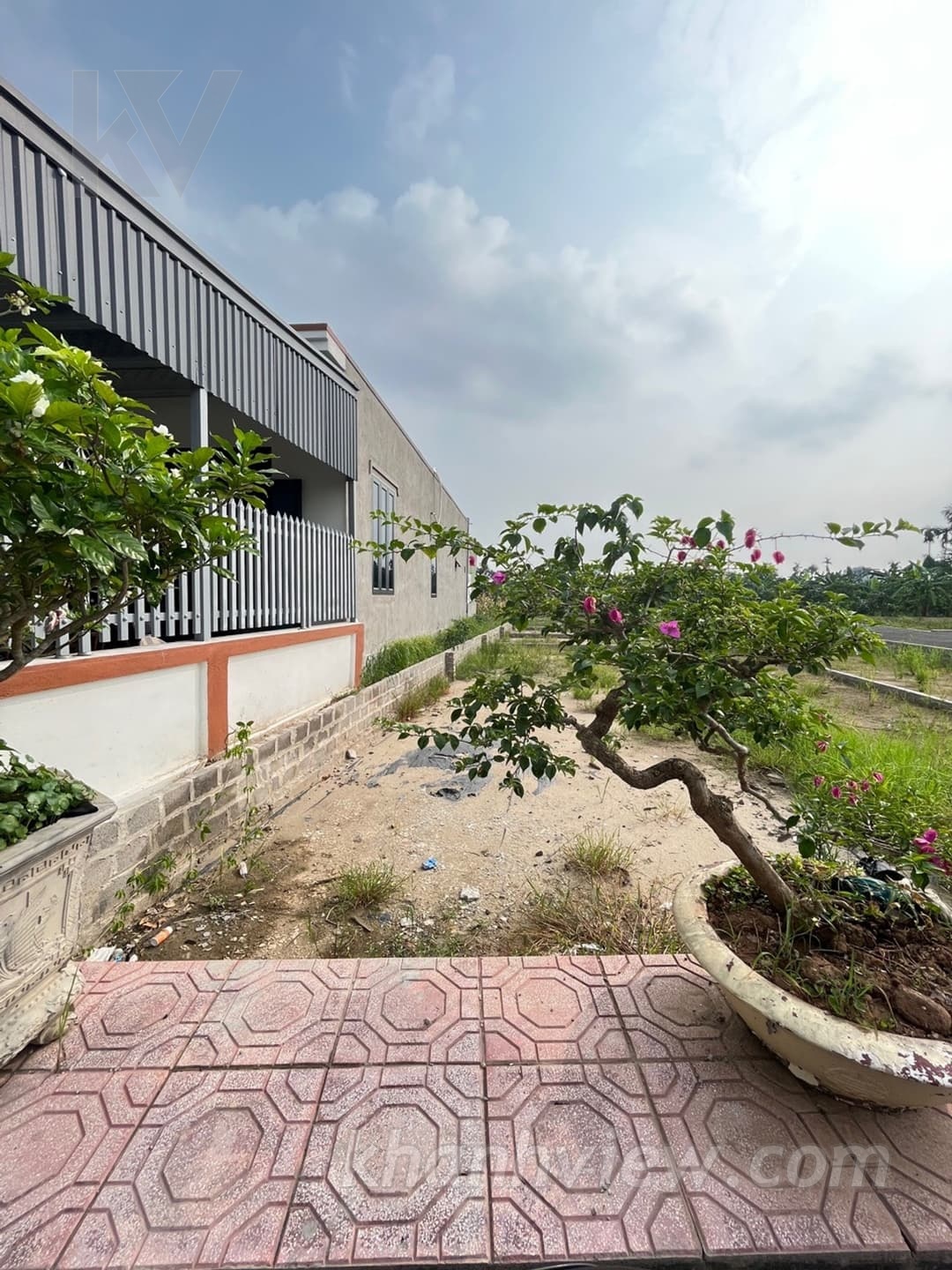 Ảnh thực tế 4