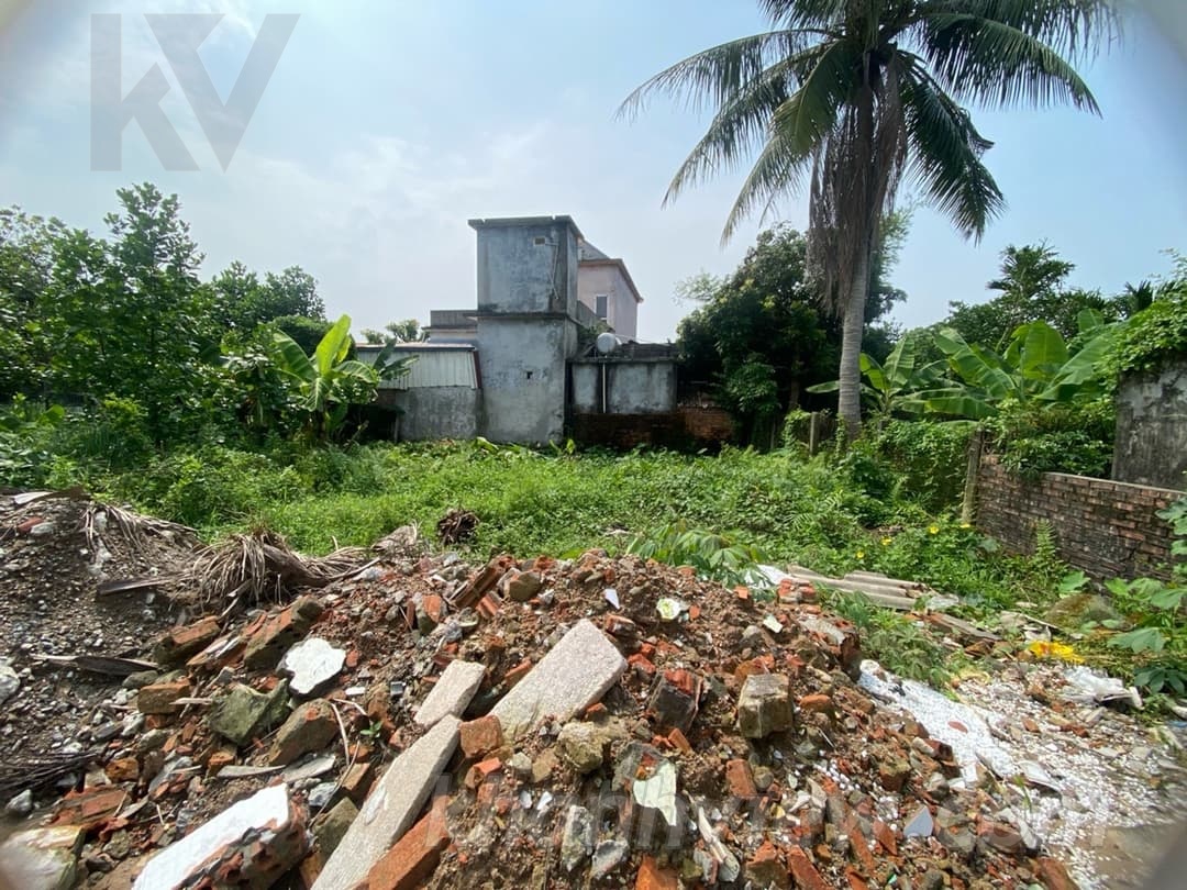 Đất Vĩnh Bảo Hải Phòng