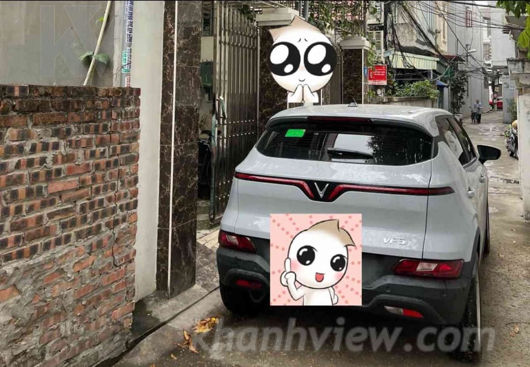 Ảnh 8