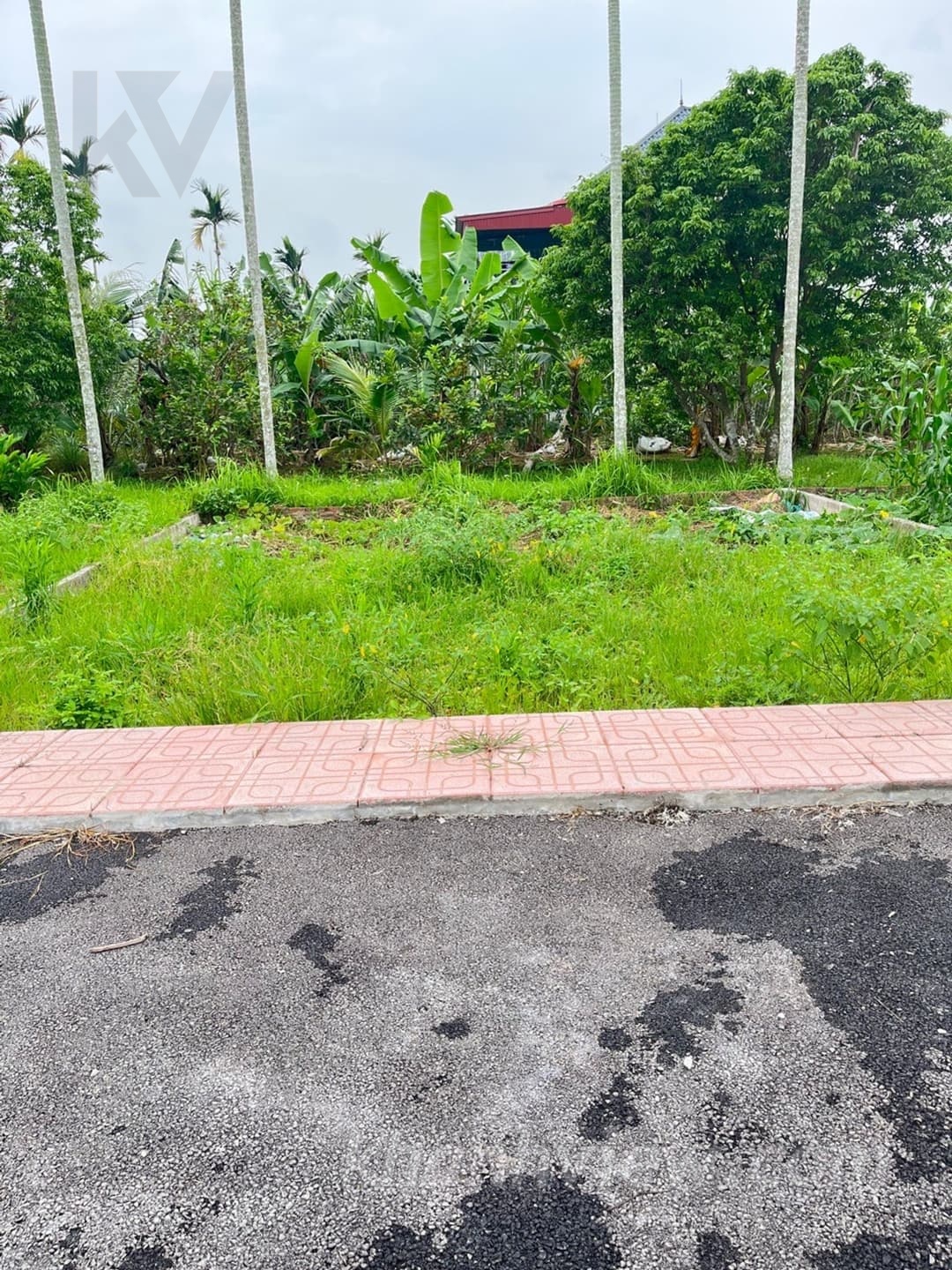 Đất Thôn Hạ Trang Bát Trang An Lão Hải Phòng