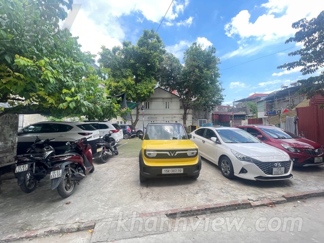 Ảnh thực tế Hồ Sen 3