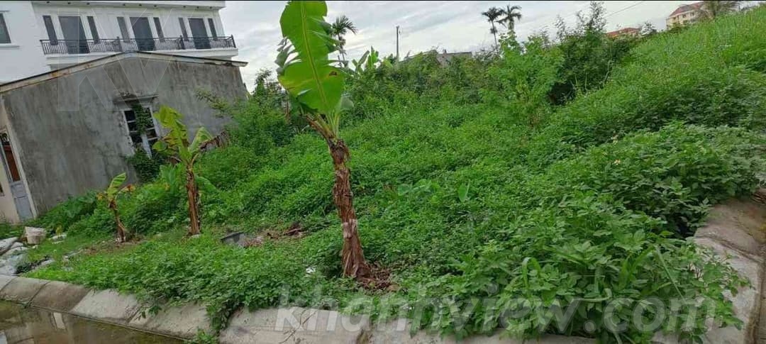 Ảnh thực tế 2