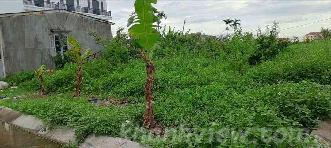 Ảnh thực tế 3