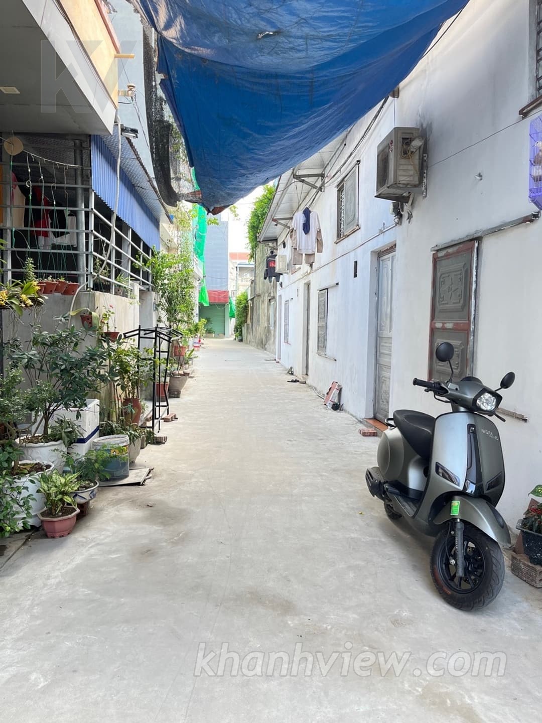 Ảnh thực tế 16