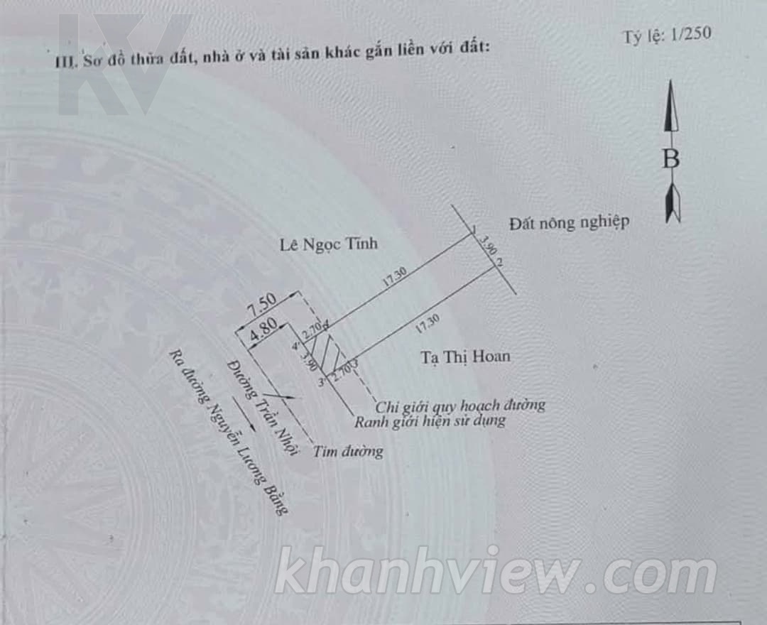 Ảnh 11 Trần Nhội