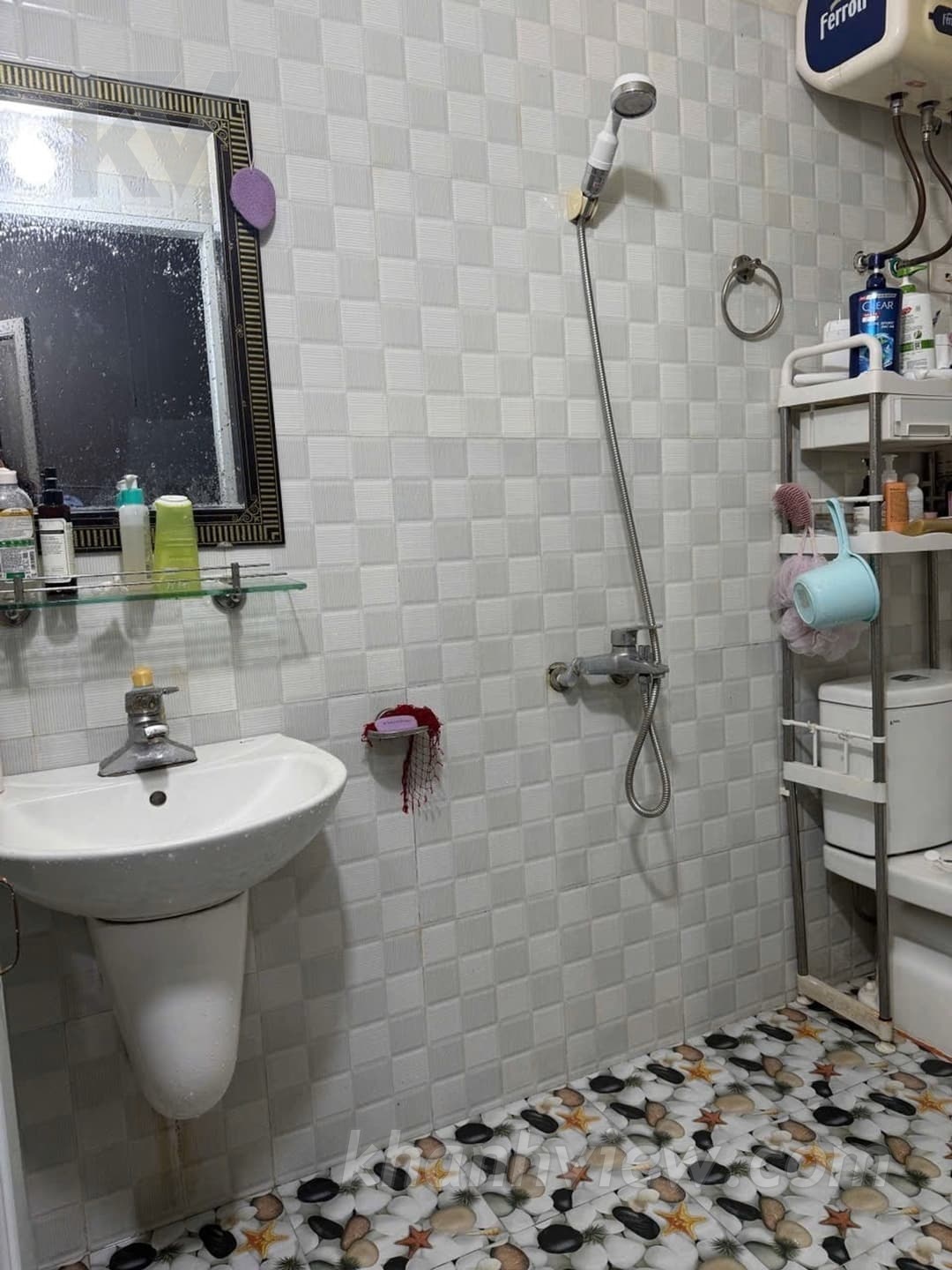 Ảnh 9 Trần Nhội