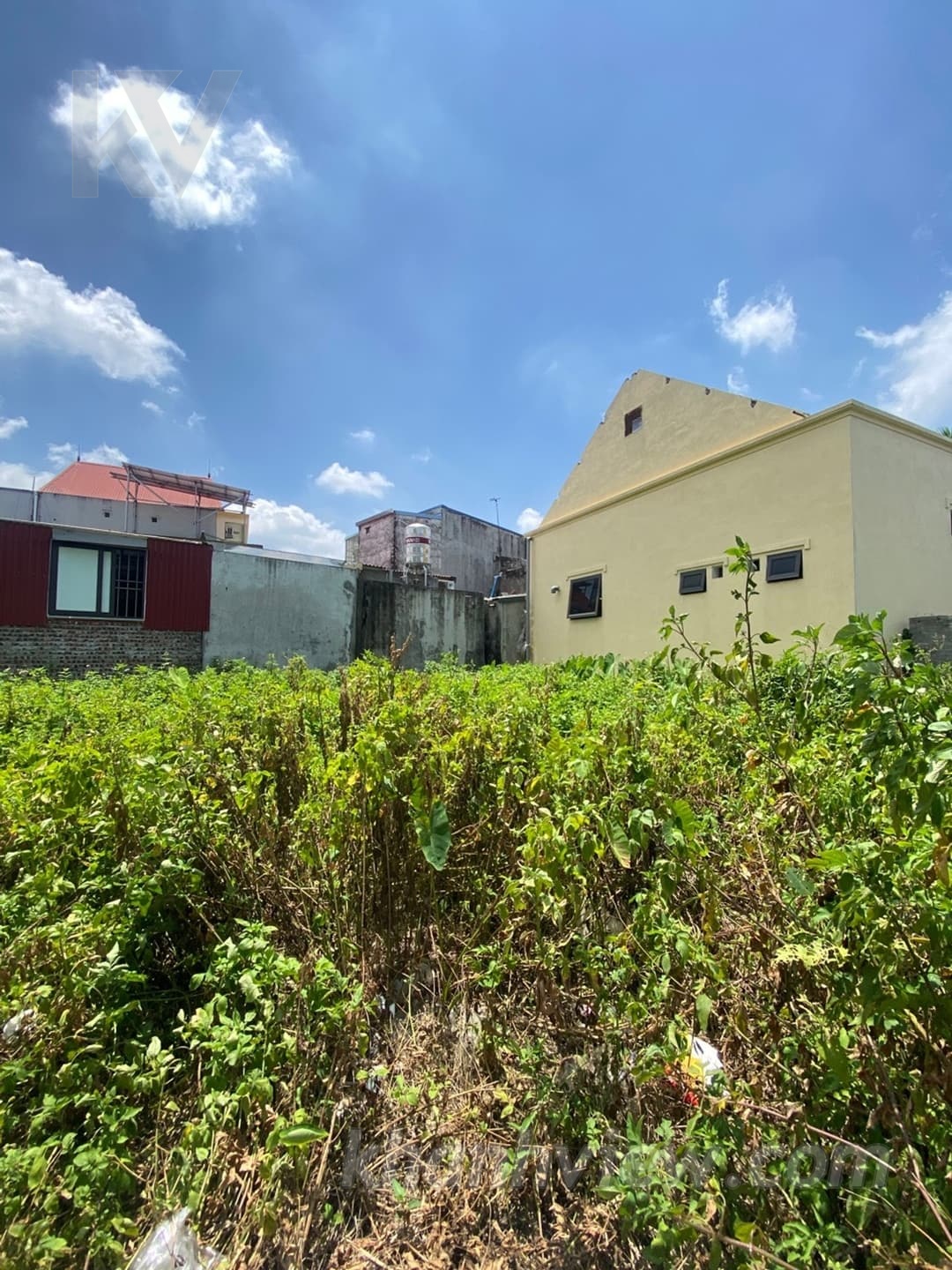 Thực tế đất Quỳnh Cư 5