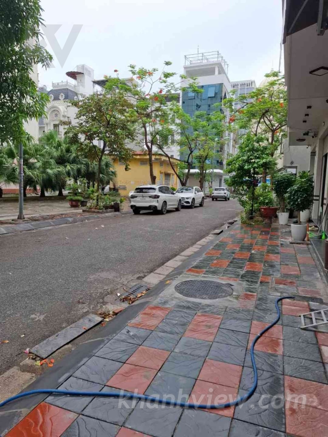 Ảnh thực tế 2