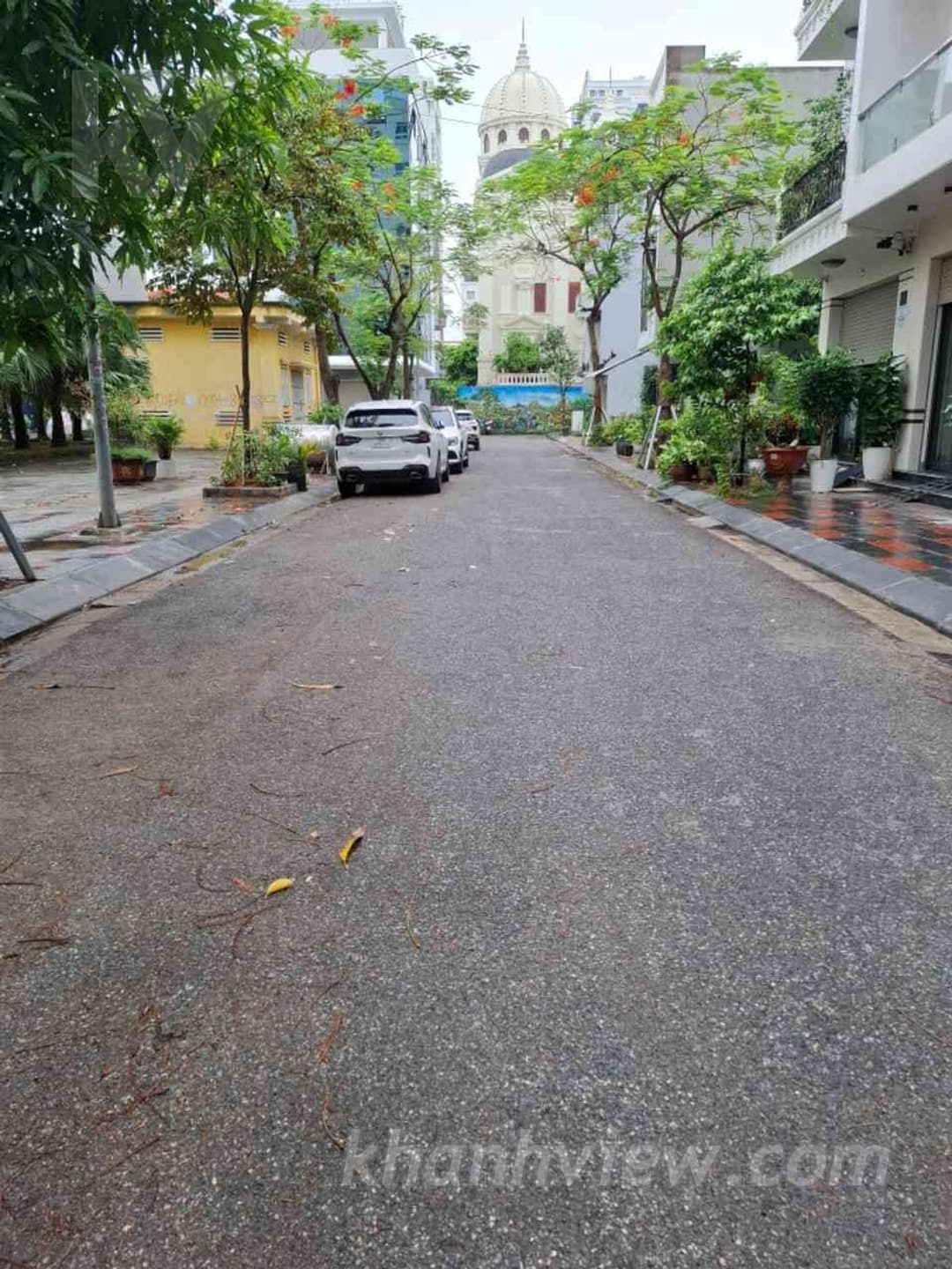 Ảnh thực tế 3