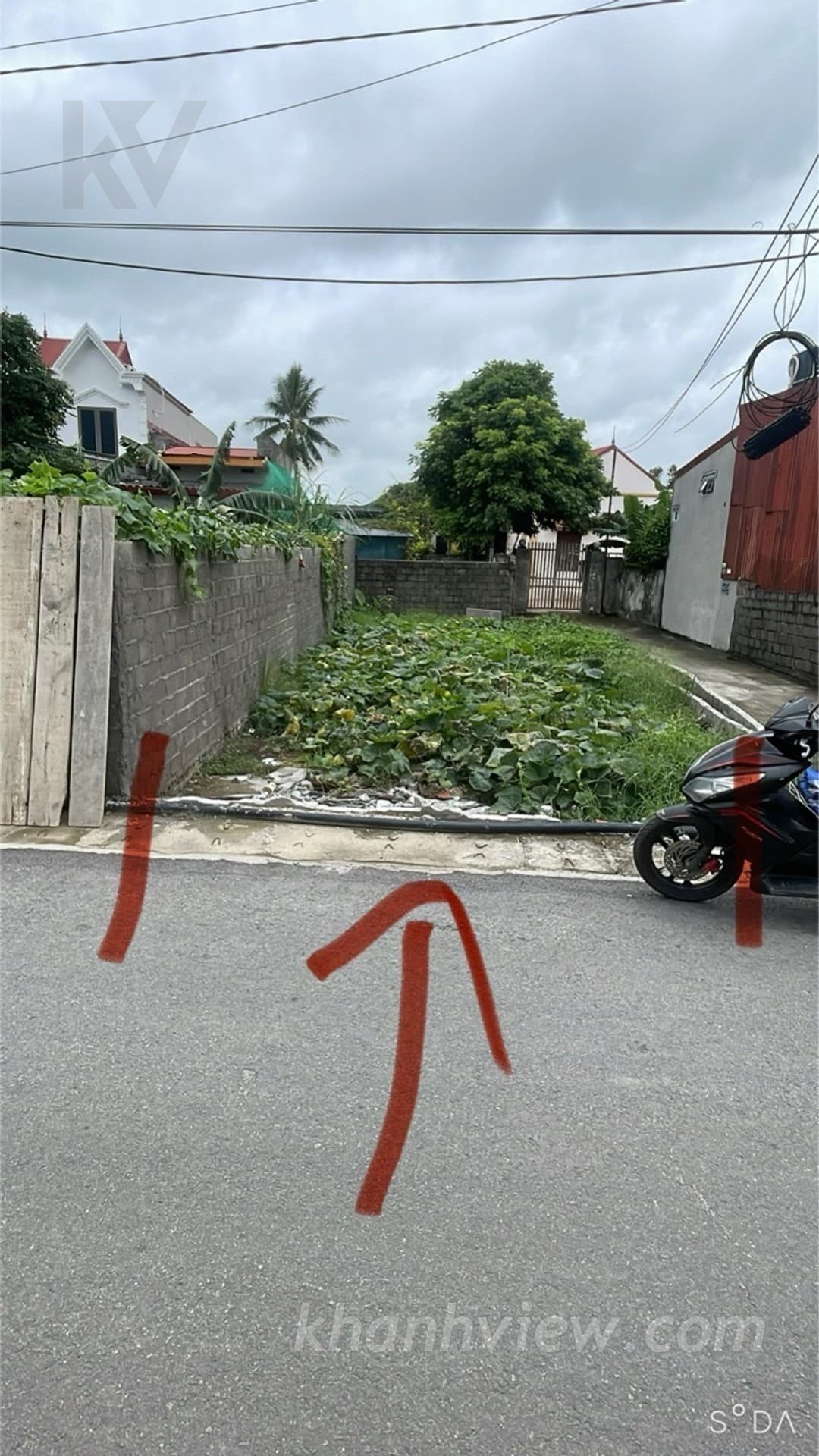 Ảnh thực tế 5