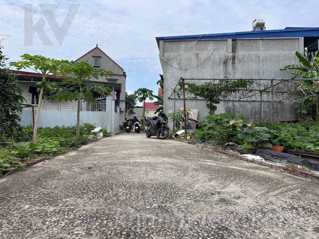 Thực tế đất Lâm Động Thủy Nguyên 1