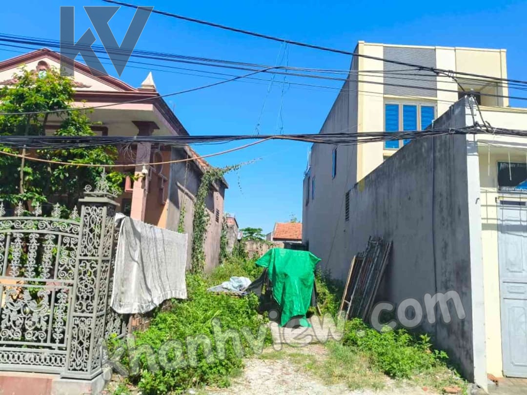 Ảnh thực tế đất Tam Hưng 11