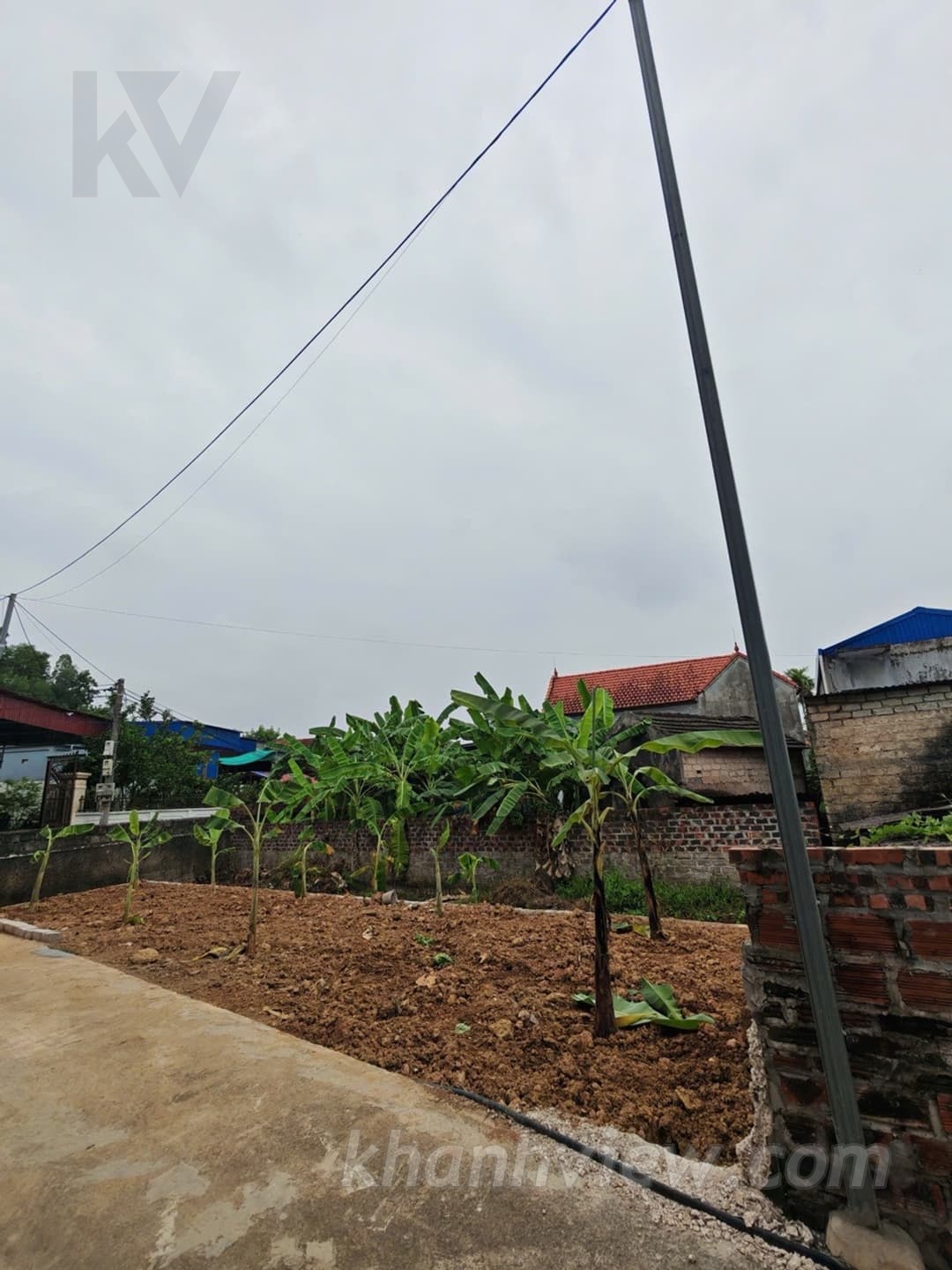 Thực tế Kênh Giang 7