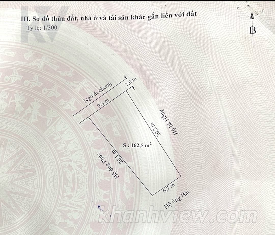 Ảnh thực tế 8