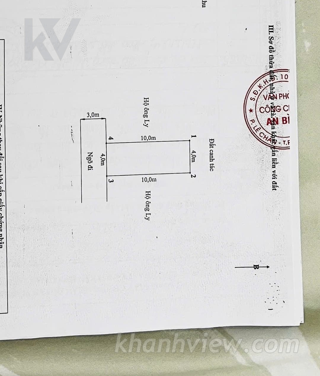 Ảnh 12