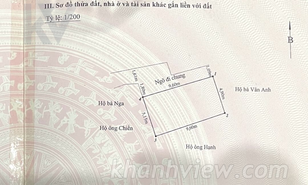 Ảnh 9