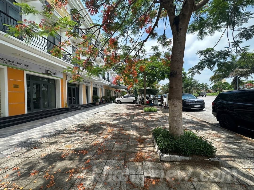 Chi tiết Tràng Duệ 5