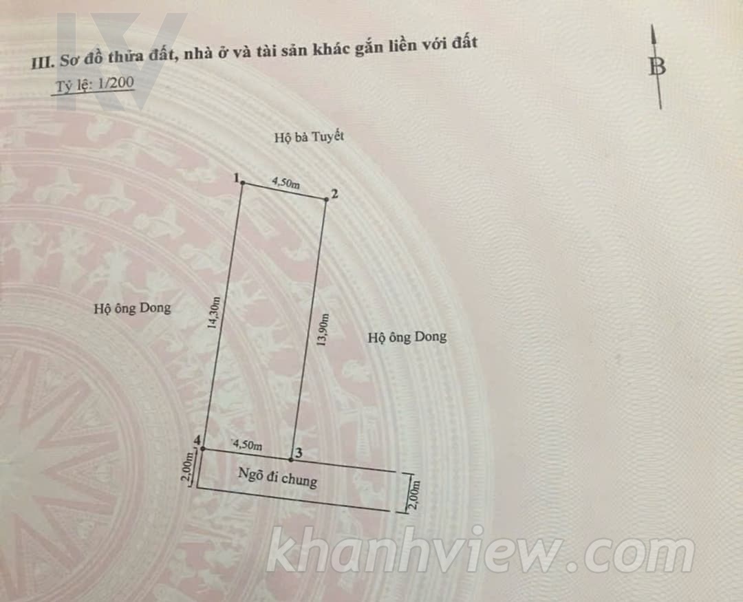 Ảnh thực tế 13