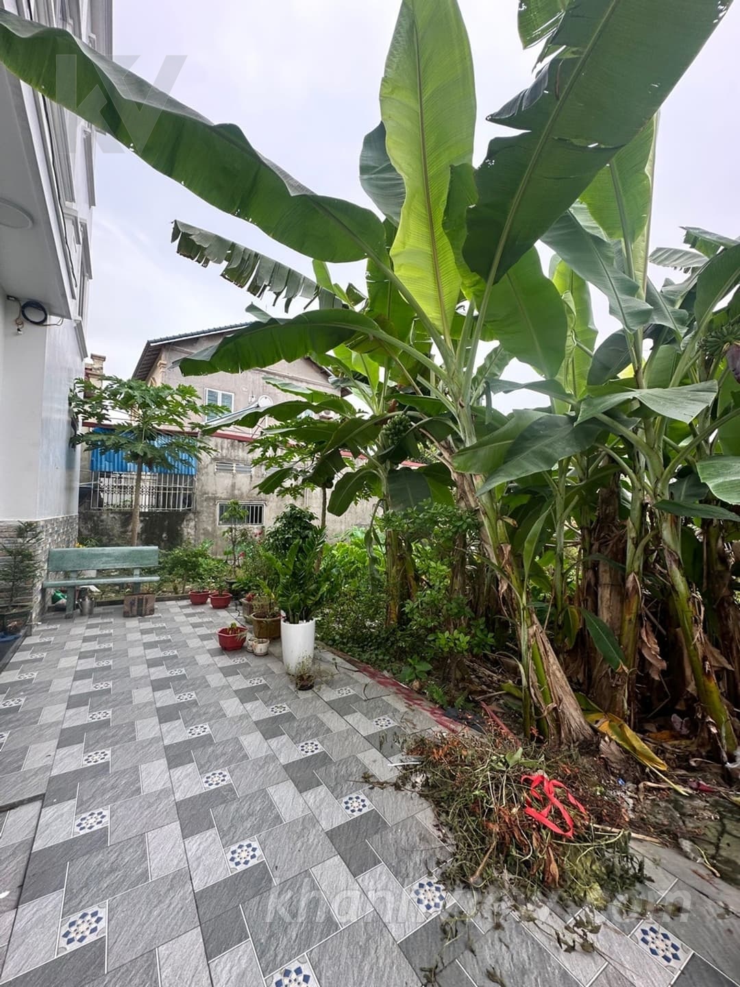 Ảnh thực tế 5