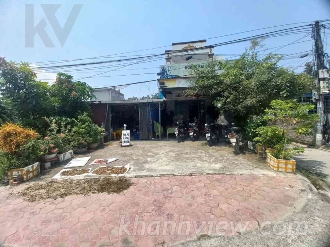Đất Thắng Lợi Thủy Nguyên ảnh 2