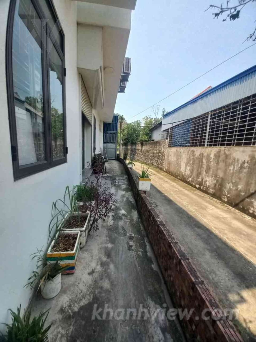 Đất Thắng Lợi Thủy Nguyên ảnh 8