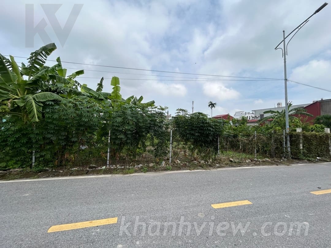 Đất Hoa Động Thủy Nguyên TKY4EGJG ảnh 3