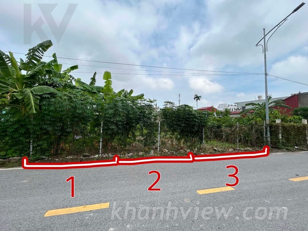 Đất Hoa Động Thủy Nguyên TKY4EGJG ảnh 6