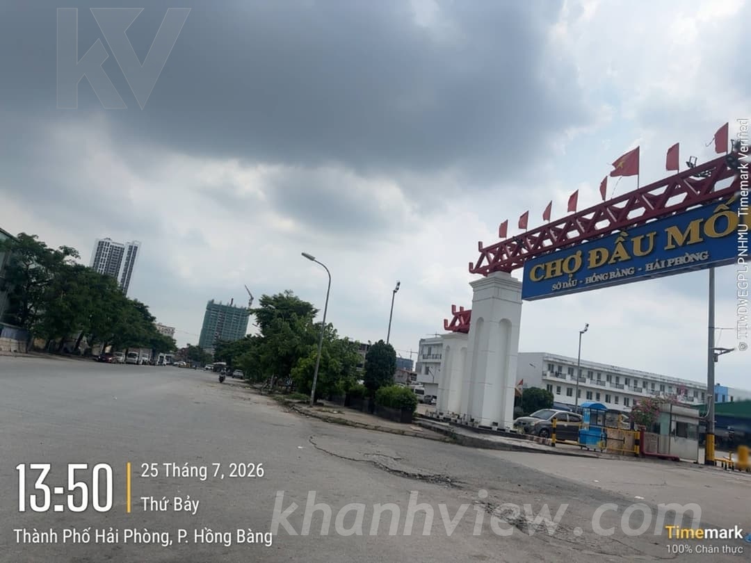 Ảnh 19