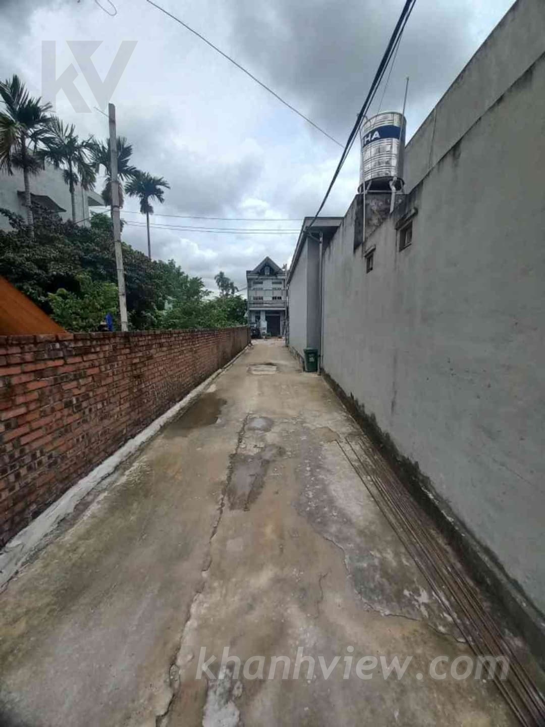 Ảnh 6