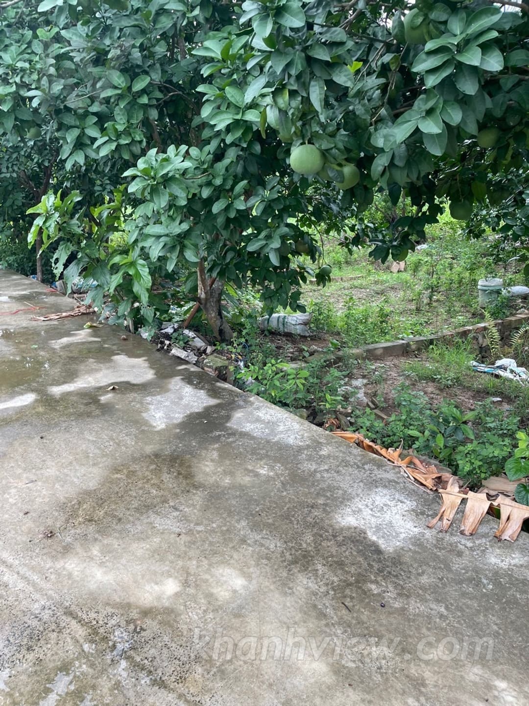 Đất Lâm Động Thủy Nguyên 1