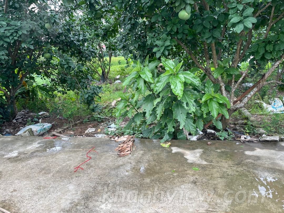 Đất Lâm Động Thủy Nguyên 2