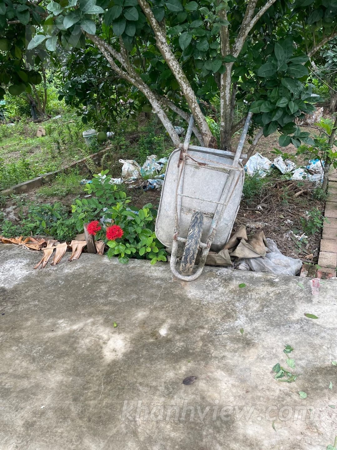 Đất Lâm Động Thủy Nguyên 3