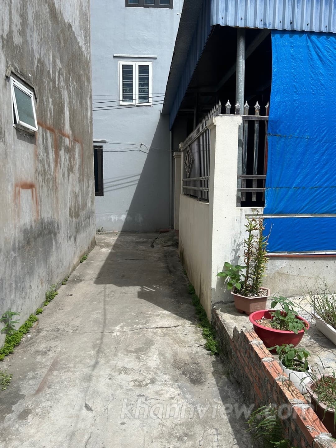 Ảnh thực tế 5